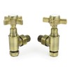 Hot Flow | Bayou Cross-Head Traditional Manual Radiator Valves (Pair)