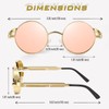 GQUEEN Retro Round Circle Steampunk Sunglasses for Women Men Polarized