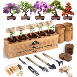 AVERGO Bonsai Tree Kit for Beginners – 5X Unique Japanese Bonzai Trees | Complete Indoor Starter Kit for Growing Plants with Bonsai Seeds, Tools & Planters – Gardening Gifts for Women & Men