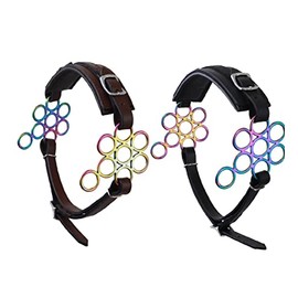 Lift Sports Black/Brown Rainbow Multi Color Hackamore Bitless Horse Bit English Western Adjustable Flower Original Leather Bridle Equestrian Tack (Brown)
