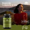 TIBET NATURA - Shatavari - 60 Cápsulas 500 mg c/u