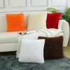 Sea Soft Lion Velvet Throw Pillow Case Cushion Cover Fashion