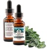 PURELY WILD Dr. Cass Ingram's Extra Power Oregano Oil from