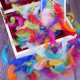 Feather Happy Birthday Confetti,200pcs Feather Natural Feathers Party Decorations for Crafting Kindergarten DIY Crafts, Wedding, Family Party Decorations Dream Catcher Supplies (deep)
