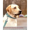 Reflective Dog Collar with Buckle Adjustable Safety Nylon Collars for