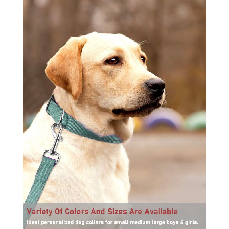 Reflective Dog Collar with Buckle Adjustable Safety Nylon Collars for