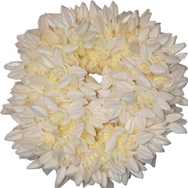 CREATIVE ZONE Artificial Mogra Rubber Band Plastic Flower for Women Pack of 1 White Gajra(35 Grams)