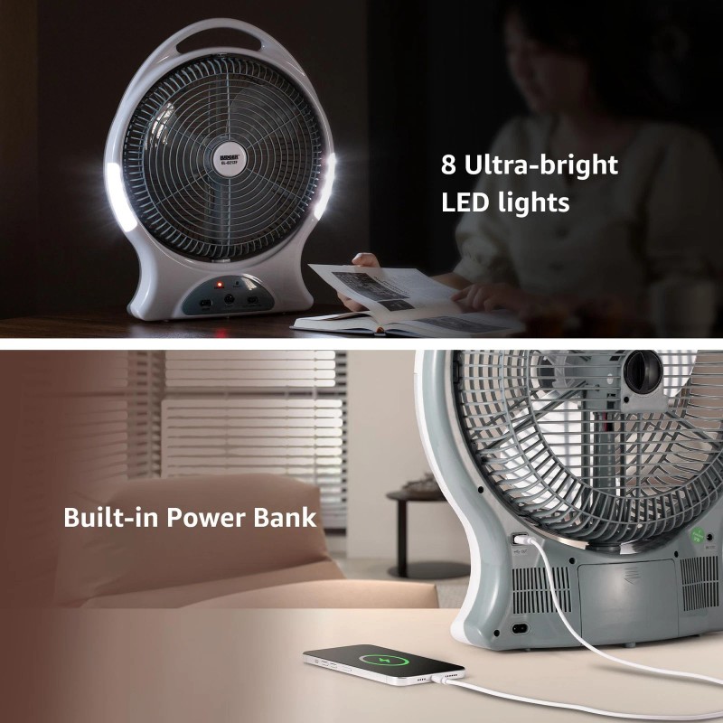 Ludger 12" Rechargeable Fan AC/DC 110-240 Volts USB 5V LED