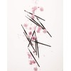 T4B LUSSONI 500 Series Professional Precision Makeup Lip Brush, Eyeliner,