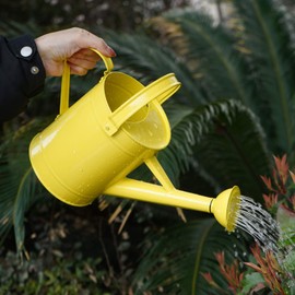 DUSVALLY Metal Watering Can 54.5 Oz Modern Style Watering Pot with Handle and Rosehead, Watering Pot for Outdoor and Indoor House Plants,Yellow