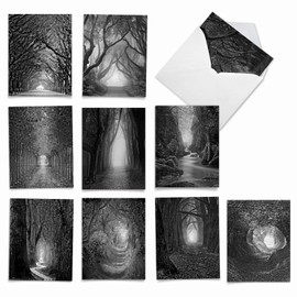 Deep Shadows - Box of 10 Nature Blank Greeting Cards with Envelopes (4 x 5.12 Inch) - Beauty of Trees All-Occasion Note Cards - Inspirational Notecards Bundle for Any Occasion AM6280OCB-B1x10