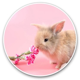 2 x 30cmVinyl Stickers - Cute Baby Rabbit Pink Flowers Decals for Car Van Luggage Scrap Book Fridge #14327