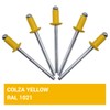 Pack of 100 Painted Blind Rivets 3.2 x 8 mm,