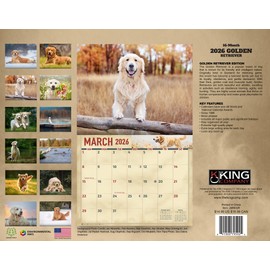 2026 Golden Retriever Wall Calendar 16-Month X-Large Size 14x22, Retriever Dog Calendar by The KING Company-Monster Calendars