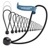 TALVANI 25 | 50 Professional Bungees with Ball - 200