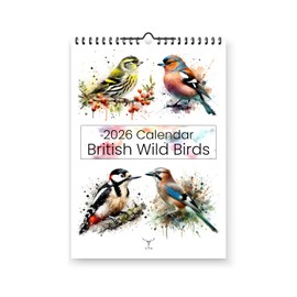 British Wild Birds 2026 Yearly Wall Hanging Calendar - Splash Effect Watercolour Prints