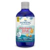 Nordic Naturals Children’s DHA, Orange - 8 oz for Kids
