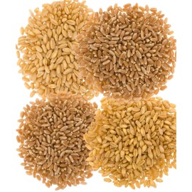 Palouse Brand 20 LBS Wheat Bundle: Hard & Soft White, Red Winter & Spring Wheat