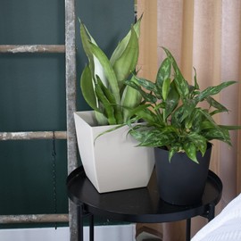 The HC Companies 6 Inch Aria Square Self Watering Planter - Plastic Plant Pot for Indoor Outdoor Plants Flowers Herbs, Matte Black