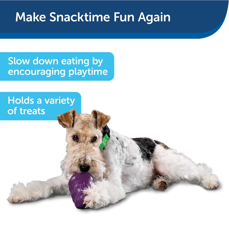 PetSafe Busy Buddy Squirrel Dude, Interactive Treat Dispensing Dog Toy