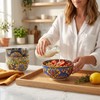 Boho Bowl Set of 6, 28 oz Colorful Ceramic Soup