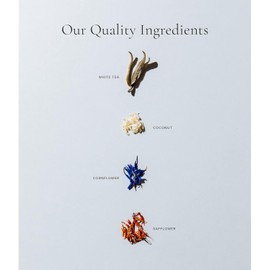 Art of Tea | Organic White Coconut Crème | 12 Count Eco Friendly Sampler Box Assortment | Premium Caffeinated Organic White Tea Variety | Biodegradable Sachets