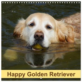 Happy Golden Retriever (Wall Calendar 2026 12" x 24" / 30 x 60 cm (open)) CALVENDO 12 Month Wall Calendar