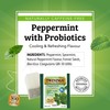 Twinings Superblends Peppermint with Probiotics Herbal Tea, 18 Count (Pack