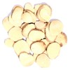 EidolonGreen Organic Alisma Rhizoma Root – 100% Pure Dried Herbal