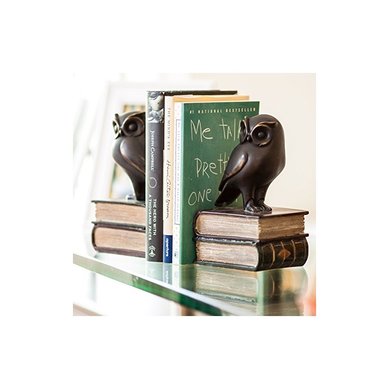 Danya B. Owl on Books Bookend Set