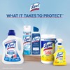 Lysol Laundry Sanitizer Additive, Free & Clear, Free from Fragrance