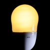 Eco Ball 60W Base E17 Bulb Color EFA15EL/12E17N EFA15EL/12-E17N