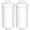Amwater Fluoride Water Filter, Fluoride/Arsenic Replacement Water Filter, Compatible with