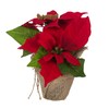 Bambelaa! Pack of 3 Christmas Star Artificial Window Realistic Christmas