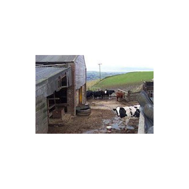 Froggy's Fog - Scented Cologne Spray (1 oz. Barnyard)