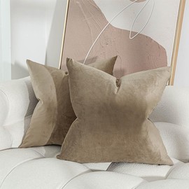 JUSPURBET Stone Velvet Throw Pillow Covers 16x16 Inches Set of 2 with Zipper Decorative Soft Solid Pillow Covers for Couch Bed Sofa