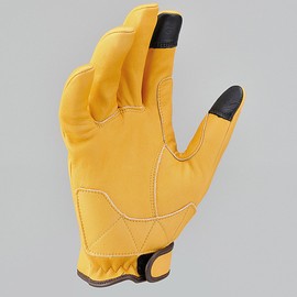 Daytona Motorcycle Gloves