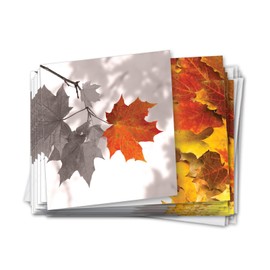 NobleWorks 12 Blank All Occasions Greeting Cards Bulk Box Set with 5 x 7 Inch Envelopes (1 Design, 12 Each) Autumn Leaf - Maple CQ4629AOCB-B12x1