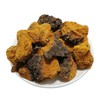 참두리 차가버섯 300g (러시아산) Chaga Mushroom (300g) from Russia