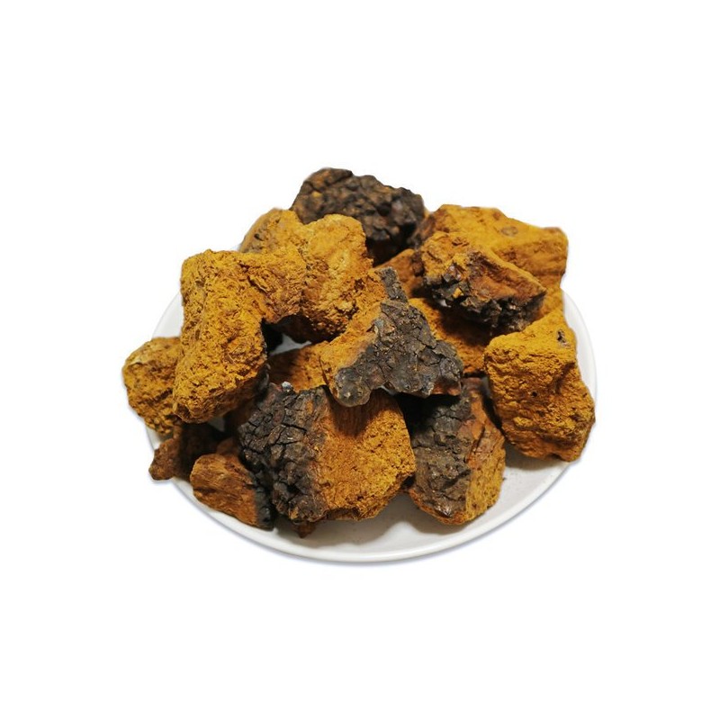 참두리 차가버섯 300g (러시아산) Chaga Mushroom (300g) from Russia
