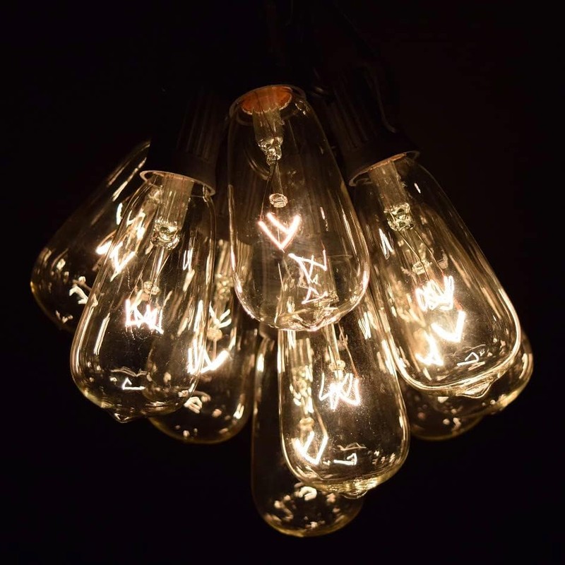 Hometown Evolution, Inc. Vintage Edison Outdoor String Lights (ST40 Clear