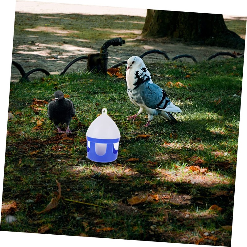 BESPORTBLE 2pcs Portable Bird Water Dispenser Reusable Pigeon Feeder Unique