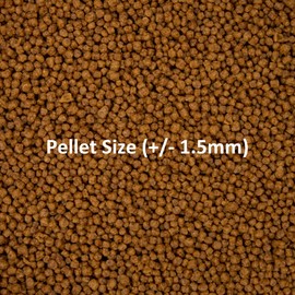 Ocean Nutrition Betta Pellets 0.53-Ounces (15 Grams) Jar