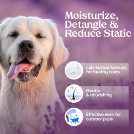 PAWFUME Premium Grooming Spray Dog Spray Deodorizer Perfume For Dogs - Dog Cologne Spray Long Lasting Dog Sprays - Dog Perfume Spray Long Lasting After Bath- Dog deodorizing Spray (Lavender, 2-Pack)