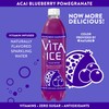 Vita Ice Acai Blueberry Pomegranate, 12 Pack, 17 oz. Bottles