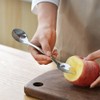 2 Packs Grapefruit Spoons Double-Headed Grapefruit Spoons Stainless Steel Spoon