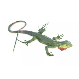 Collectible Wildlife Gifts Realistic Iguana Toy, Hand Painted, Hard Rubber Lizard, Toy Model 15" IM14 B654