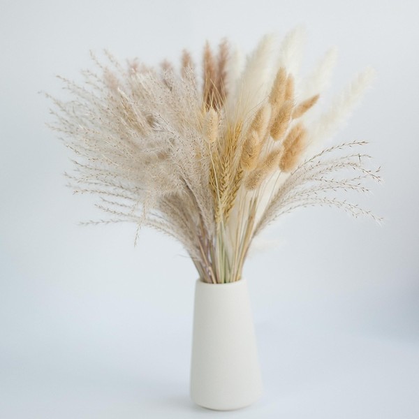 50PCS Natural Dried Pampas Grass Contains Bunny Tails Dried Flowers,