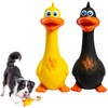 2PCS Squeaky Dog Toys, Rubber Chicken, Dog Squeaky Toy, Interactive