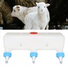 3 Pacifier Small Animal Milk Feeder Piglet Puppy Baby Lamp